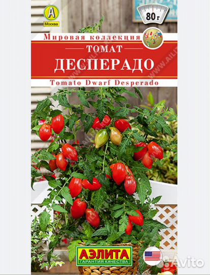 Рассада томатов