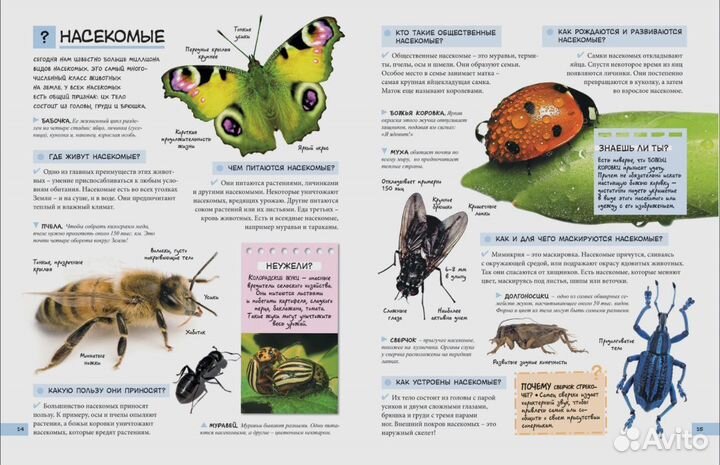 Энциклопедия 