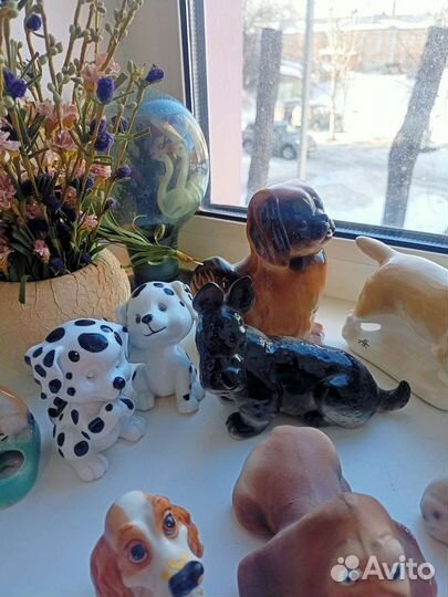 В коллекцию собачки