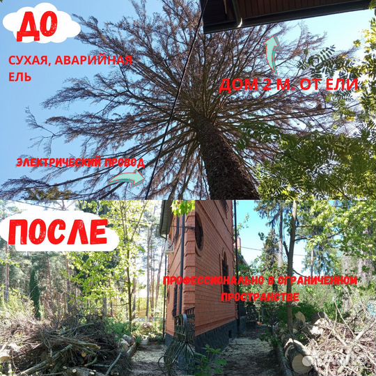 Спилить дерево, обрезка плодовых. Услуги садовника