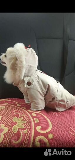 Куртка зимняя для собаки