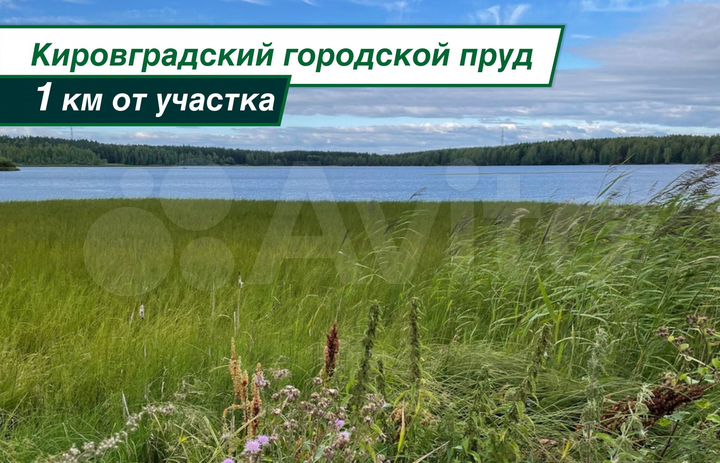 Участок 10 сот. (ИЖС)