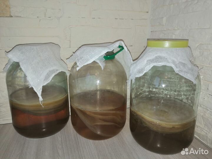 Чайный Гриб Комбуча омолаживающий