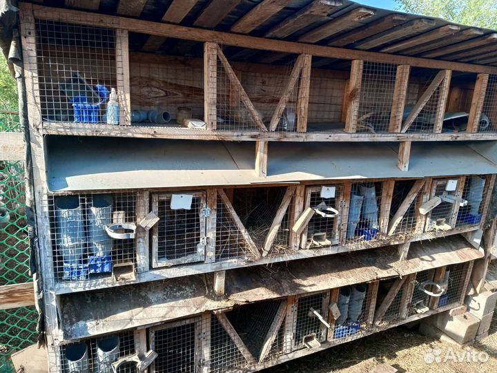 Клетка для кролика большая