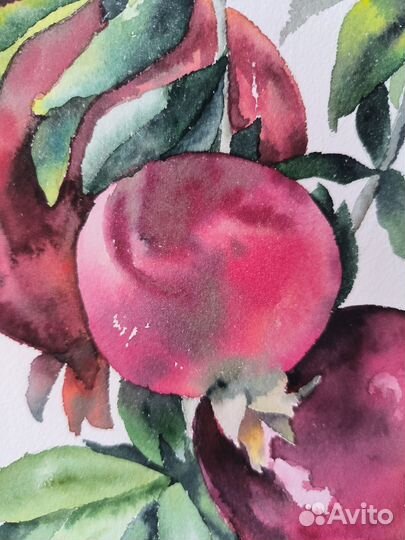 Картина акварелью гранаты на ветке