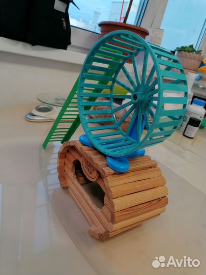 Колесо, дом для хомяка