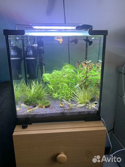 Аквариум