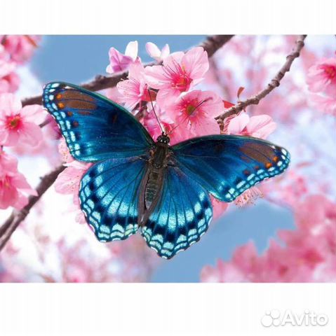 Алмазная мозаика 15*21