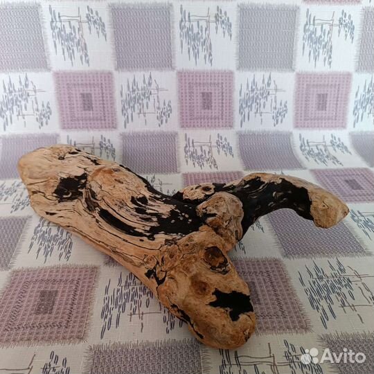 Дрифтвуд
