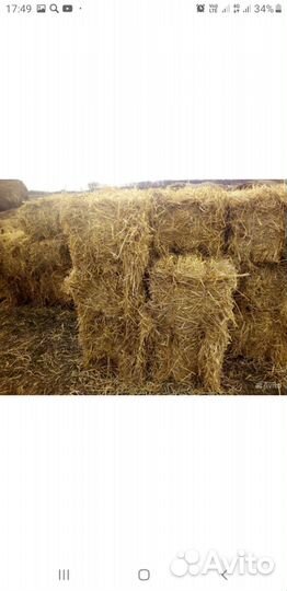 Сено в тюках и рулонах