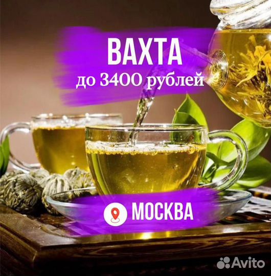 Вахта / Стикеровщик чайных наборов / Москва