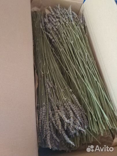 Лаванда,пижма/сухоцвет