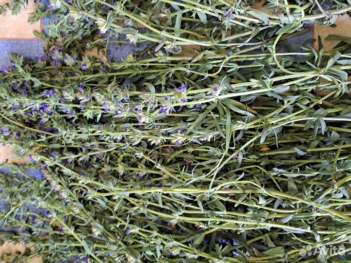 Травы пряные, лекарственные, сушенные