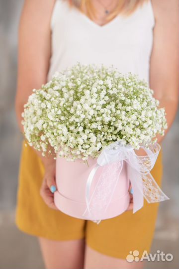 Гипсофила коробка