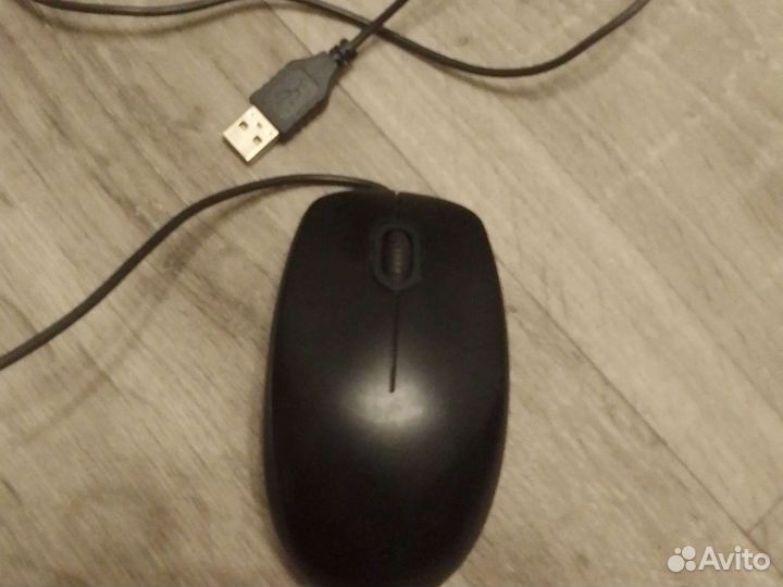 Мышь