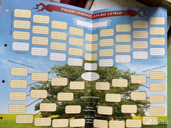 Альбом для фото семейный