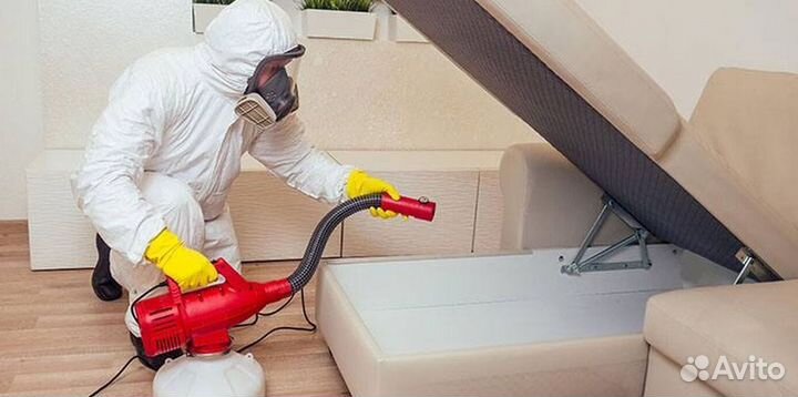 Средство для Уничтожения клопов травля тараканов дезинфекции