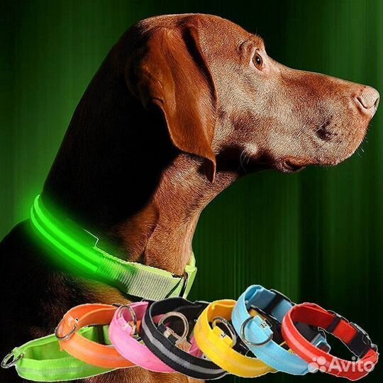 Светящийся ошейник для крупных пород собак