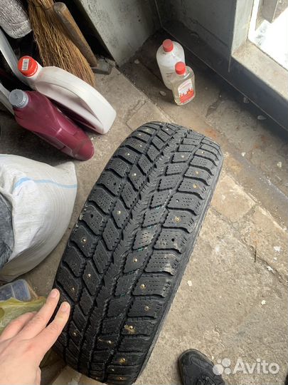 Nexen Winguard 231 195/55 R15