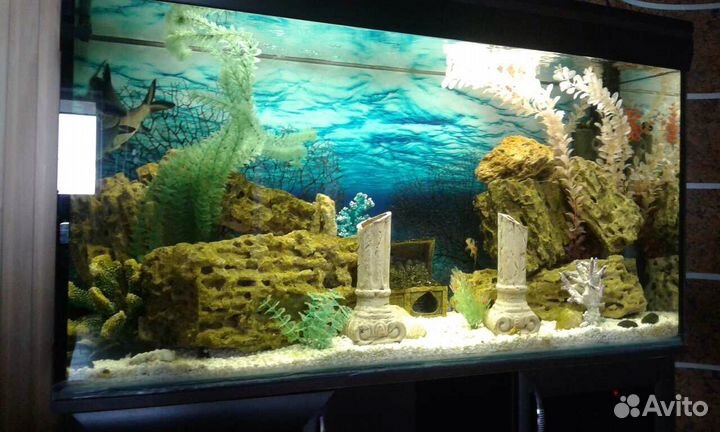 Аквариум 320 л. с тумбой и оборудованием и рыбками
