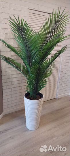 Искусственные растения