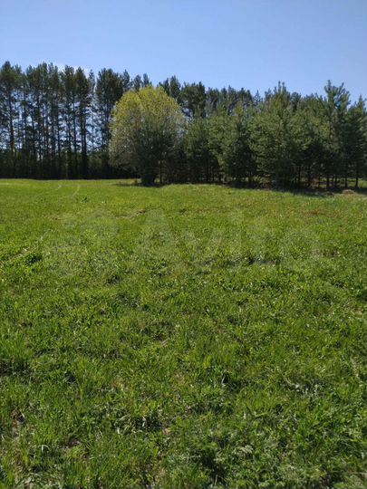 Участок 42 сот. (ИЖС)