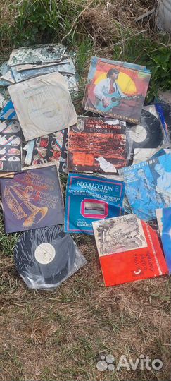 Виниловые пластинки