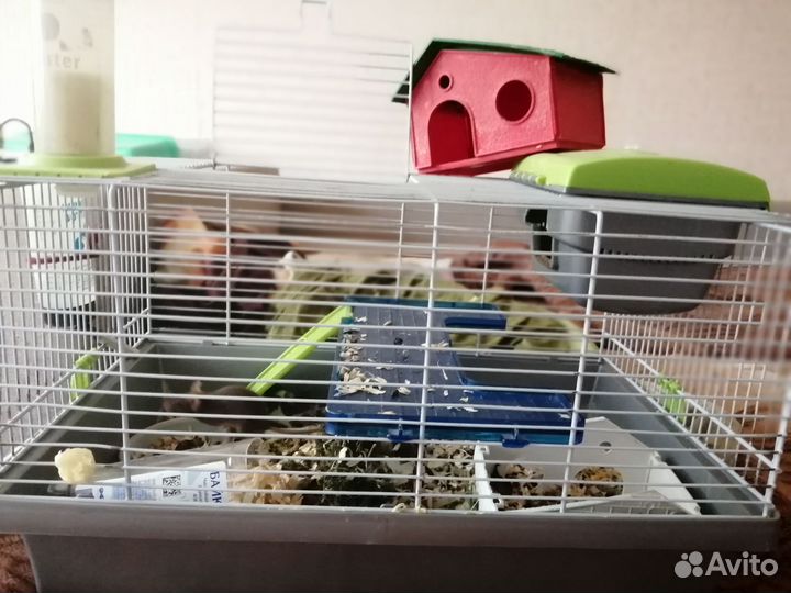 Декоративные мышки