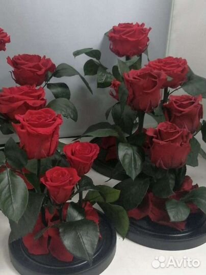 Роза в колбе оптом и в розницу