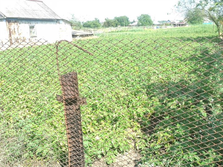 Участок 10,5 сот. (ИЖС)