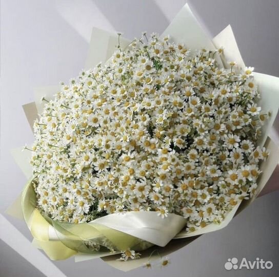 Букеты из ромашек