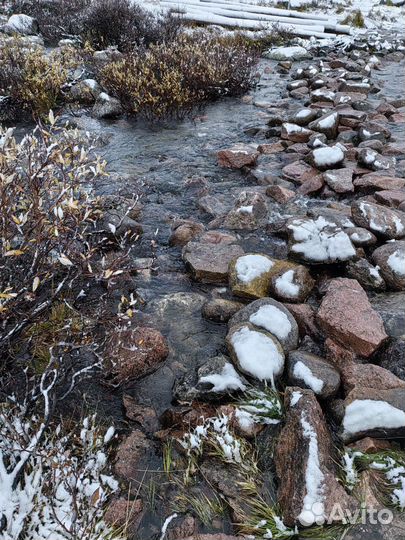 Туры териберка Экскурсия Мурманск