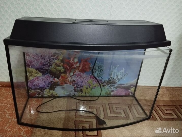 Аквариум