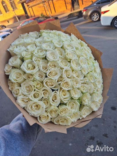 Цветы розы белые 101 шт Доставка цветов
