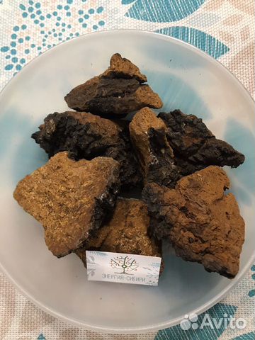 Гриб Чага Берёзовая с Алтая