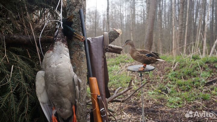 Подсадные утки