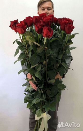 Высокие розы