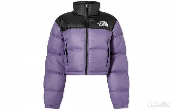 THE north face Women's Nuptse Short Jacket Lunar Slate (XXL)(65)