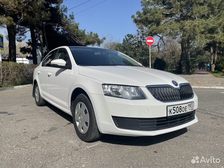 Аренда авто Skoda Octavia