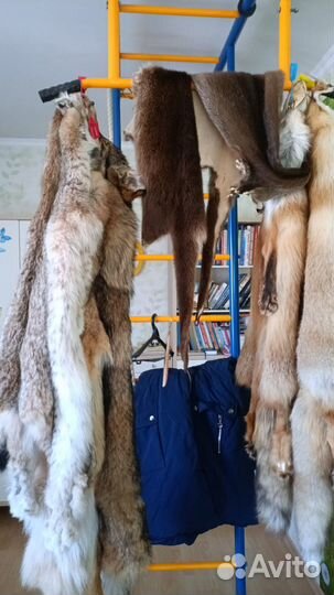 Чучело волка, шкуры выделанные, волк, лисица