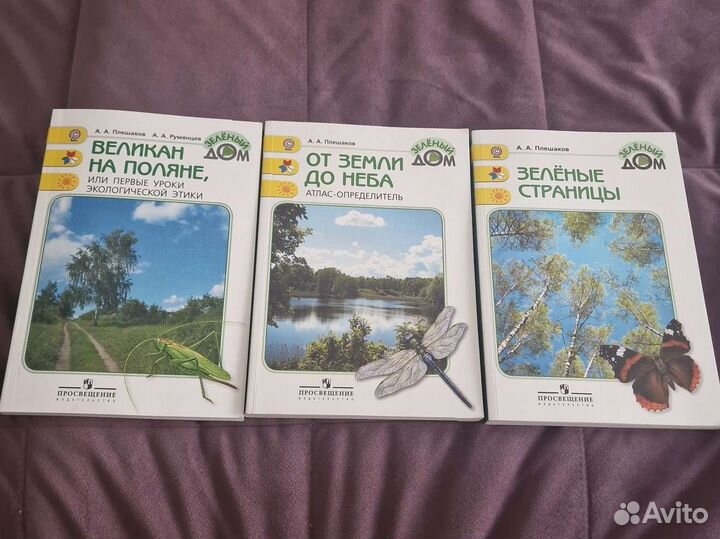 Зеленый дом Плешаков