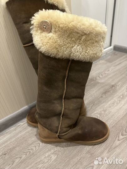 Ugg австралия