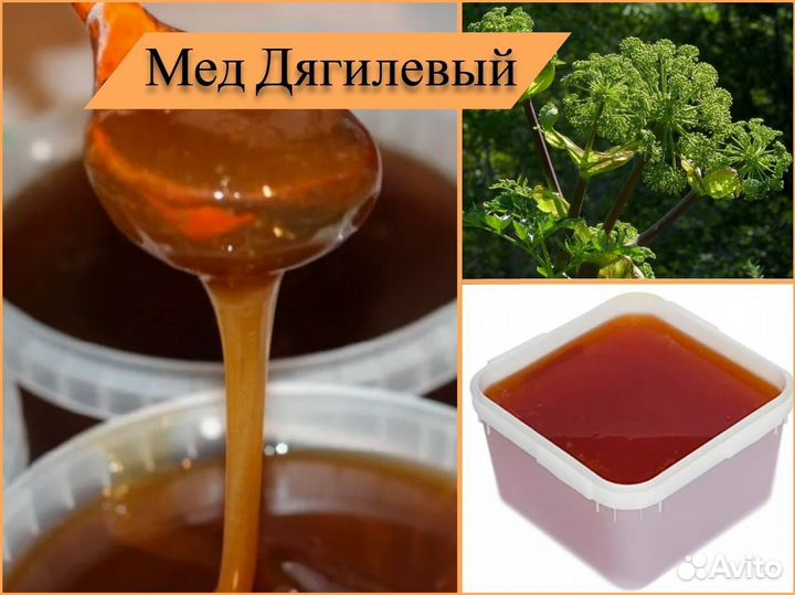 Мед Алтайский, натуральный