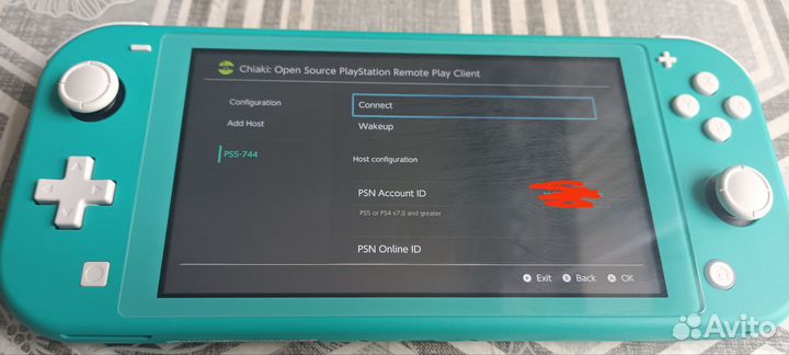 Nintendo switch lite