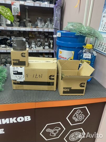 Поршень дв.Cummins ISF 2.8 Оригинал