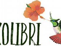 Калипта анны. Колибри фото. Кубинский колибри шмель. Колибри бренд. Колибри якобин.