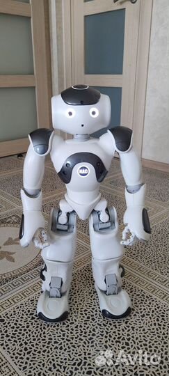 NAO v6 робот