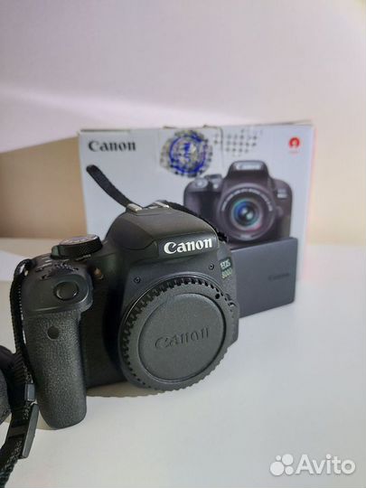 Canon 800d, объектив canon EF-S 17-55mm f/2.8