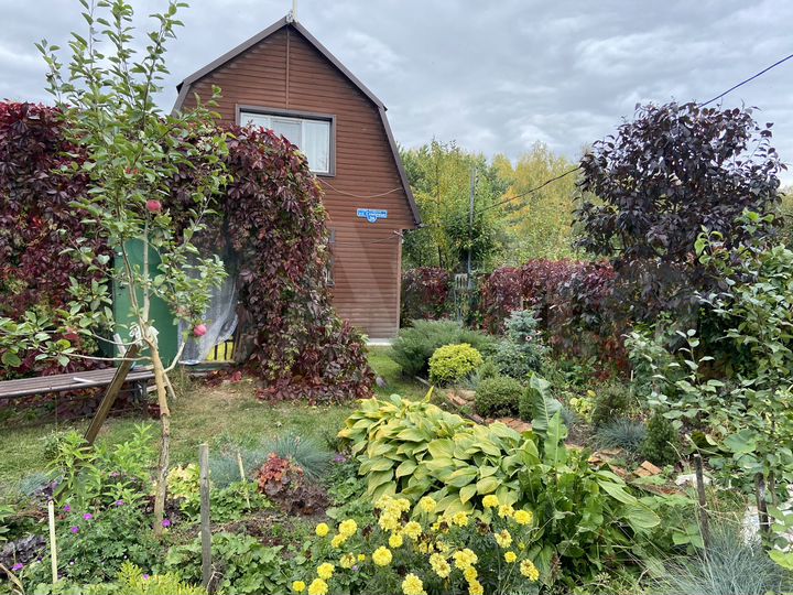 Дом 50 м² на участке 12 сот.