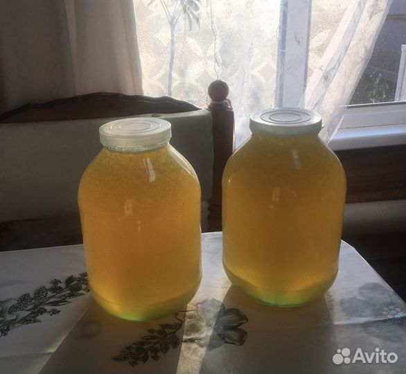 Свежий липовый мед 2023